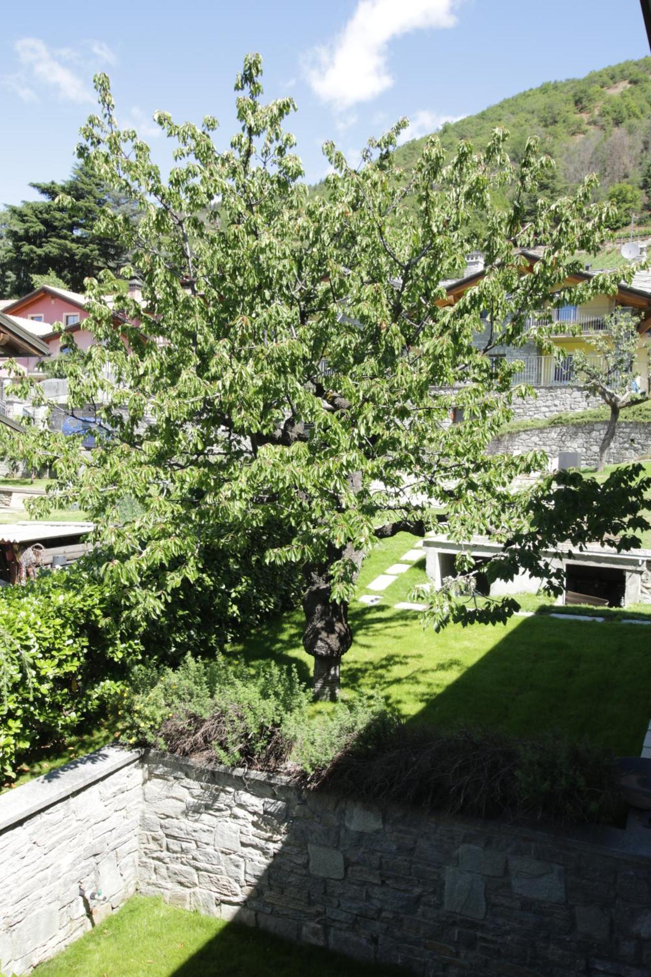 Style Apartments Vda Senin Extérieur photo